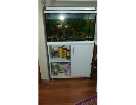 komple akvarsum setı we balıklara beraber werıcem ıcındekı balıklar sadece 600 yapar 